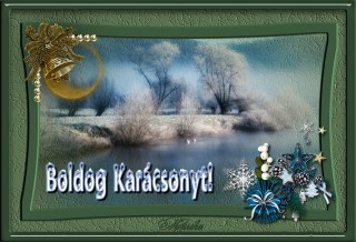 Kívánunk ma mindenkinek szép fenyõfa ünnepet!